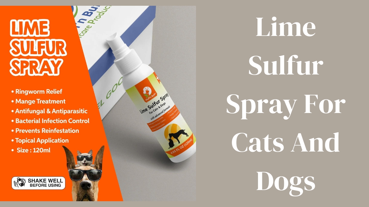 Lime Sulfur Spray for Cats and Dogs